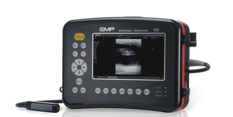 first-animal-ultrasound-machine